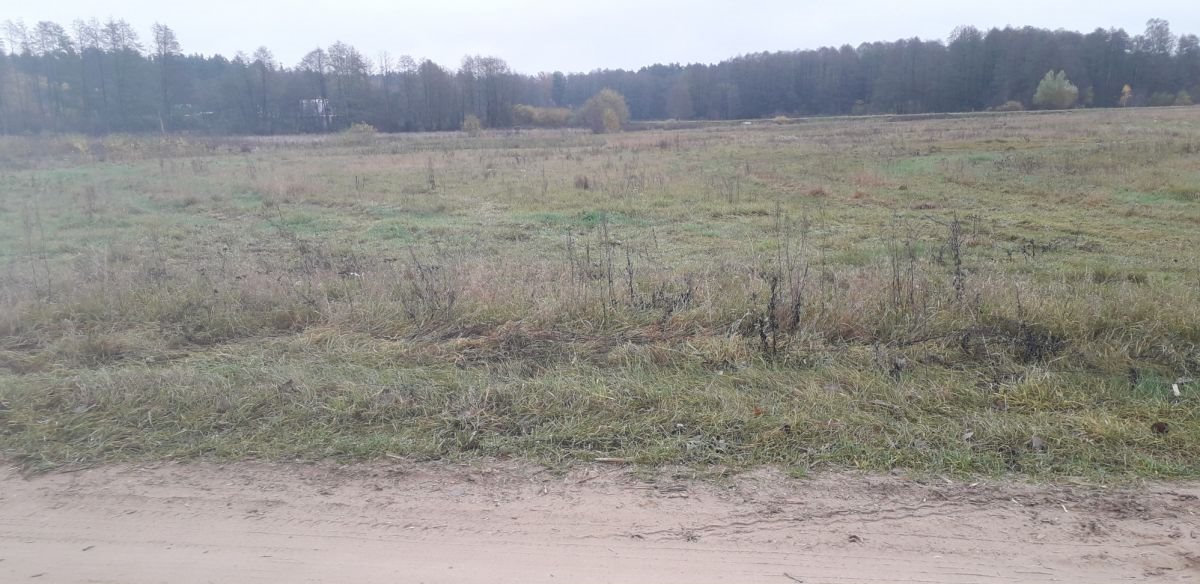 Działka gospodarstwo rolne na sprzedaż Zabłudów  3 000m2 Foto 1