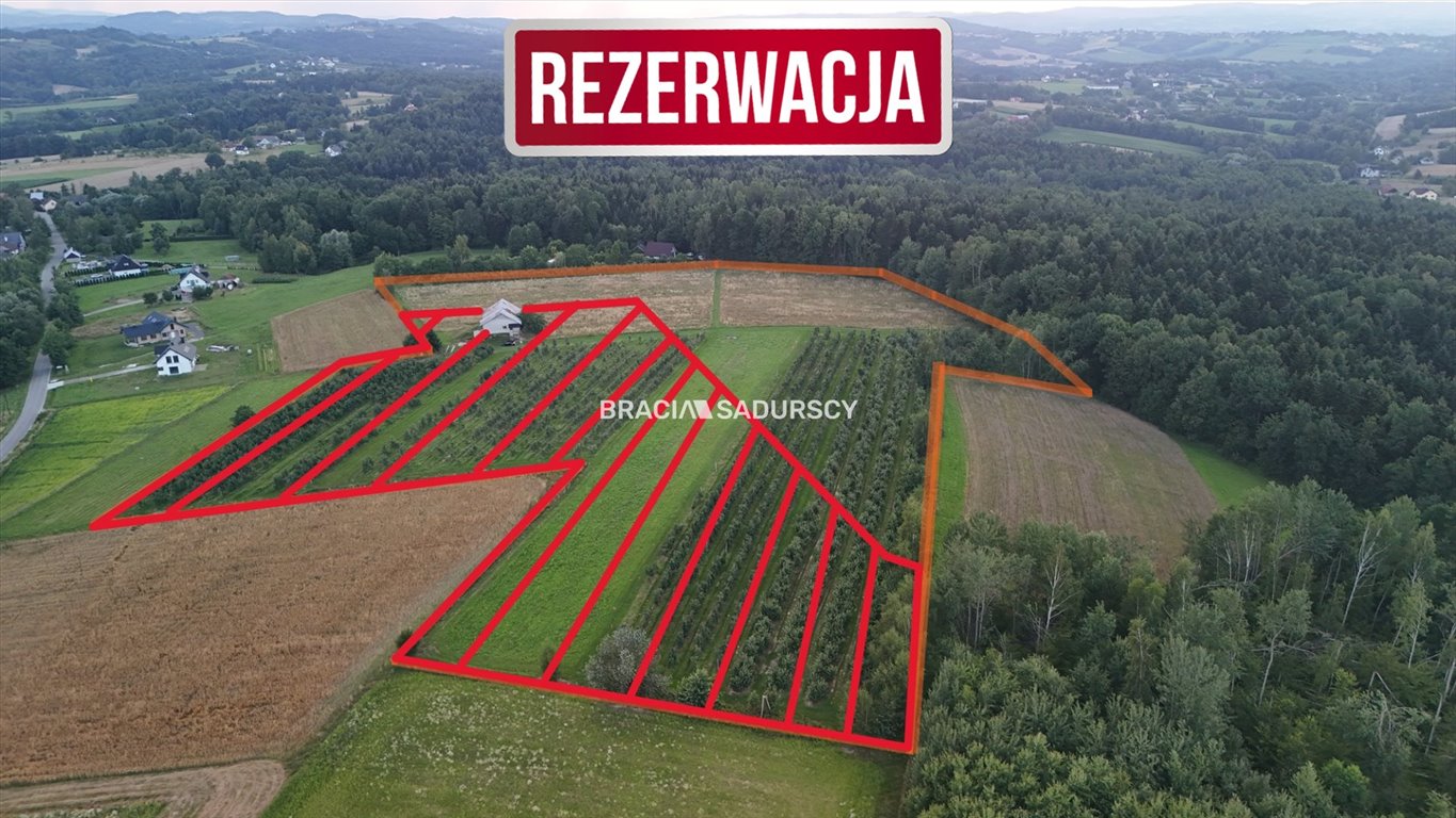 Działka budowlana na sprzedaż Łapanów, Wolica, Wolica  49 000m2 Foto 2