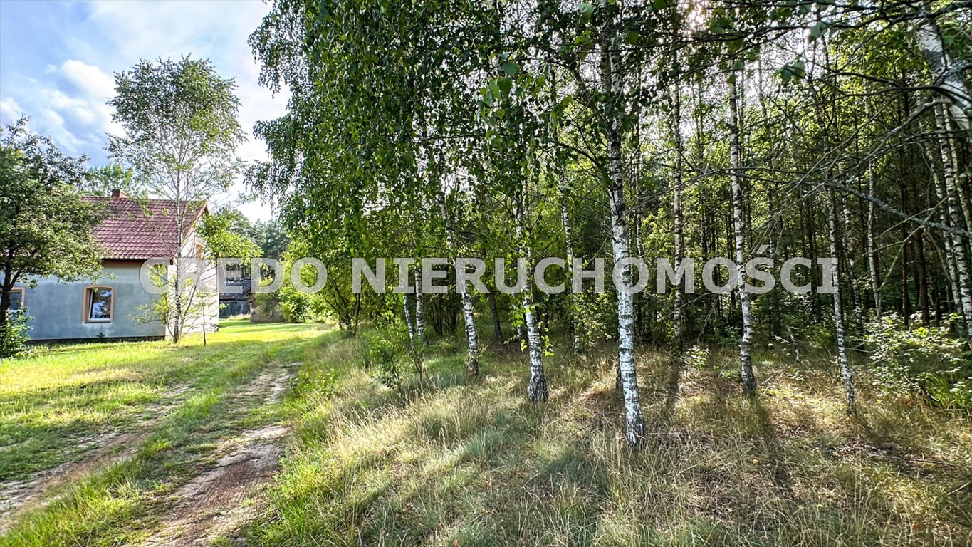 Działka rolna na sprzedaż Jedwabno  3 000m2 Foto 9