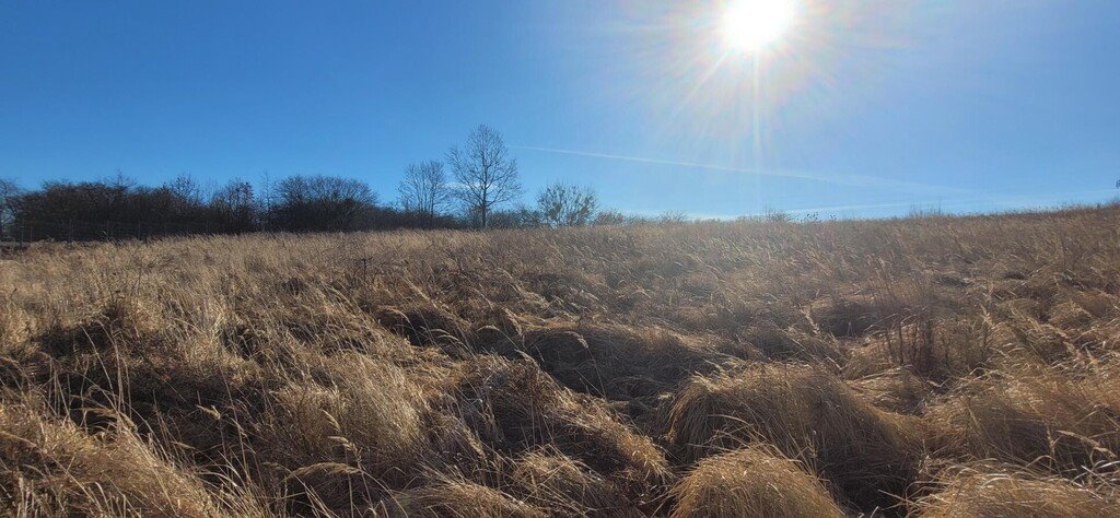 Działka pod dom z usługami, 802 m², utwardzona droga Szczecin, Stołczyn  802m2 Foto 1