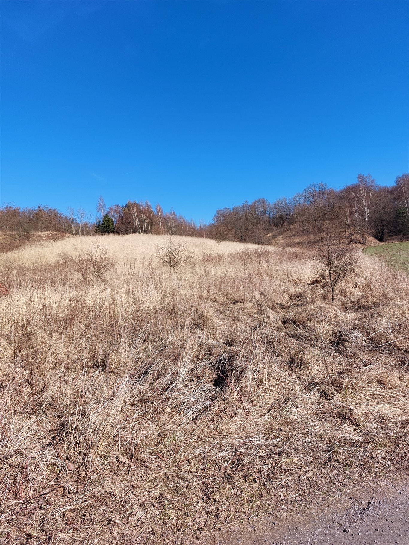 Działka 2200 m² z drzewami, blisko Miechowa i Krakowa Przesławice  2 200m2 Foto 1
