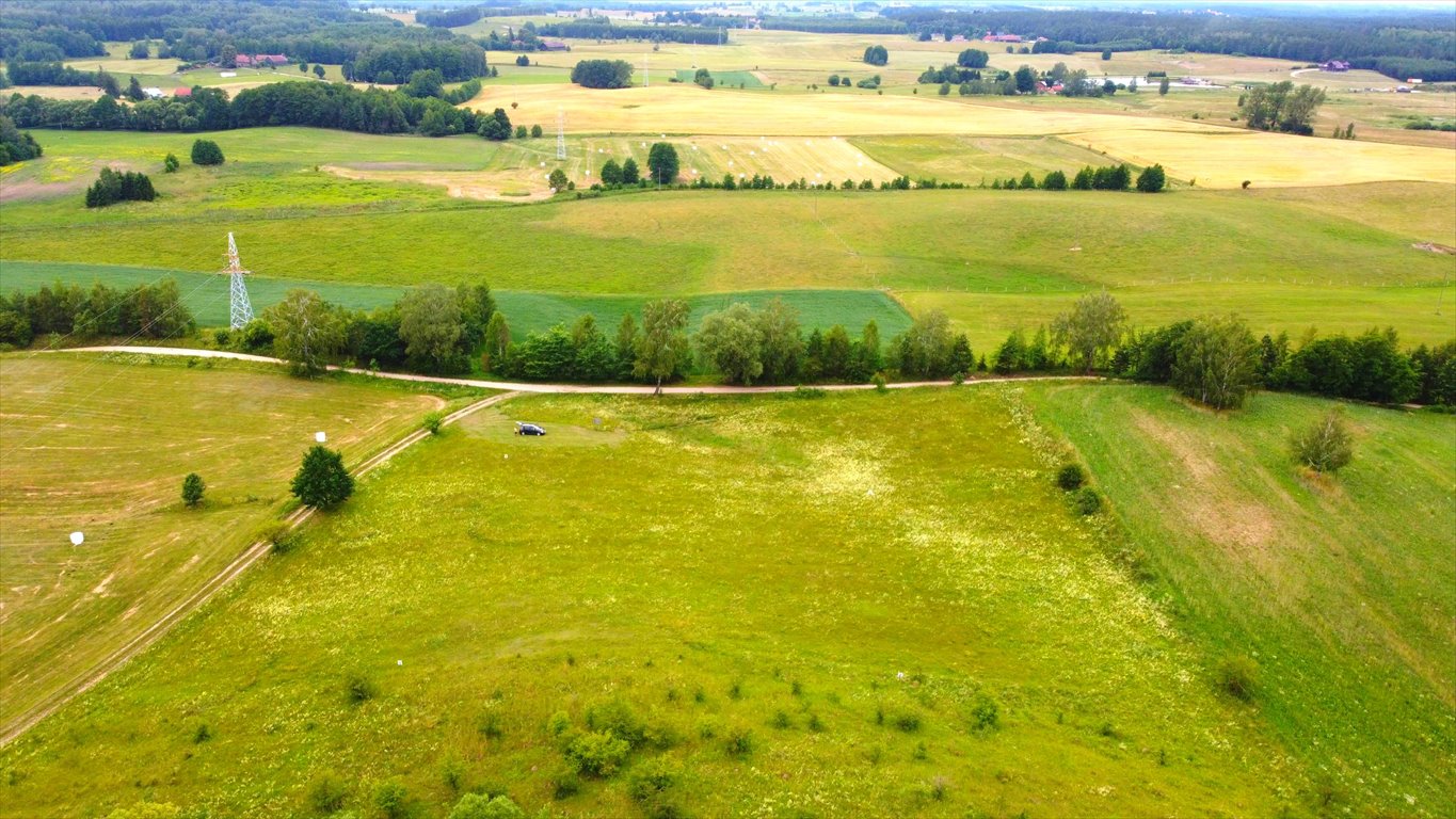 Działka budowlana na sprzedaż Wężówka  3 502m2 Foto 3