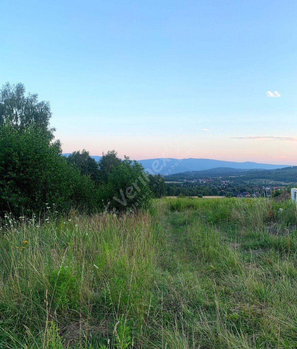 Działka budowlana na sprzedaż Jeżów Sudecki, Słoneczna  1 873m2 Foto 2