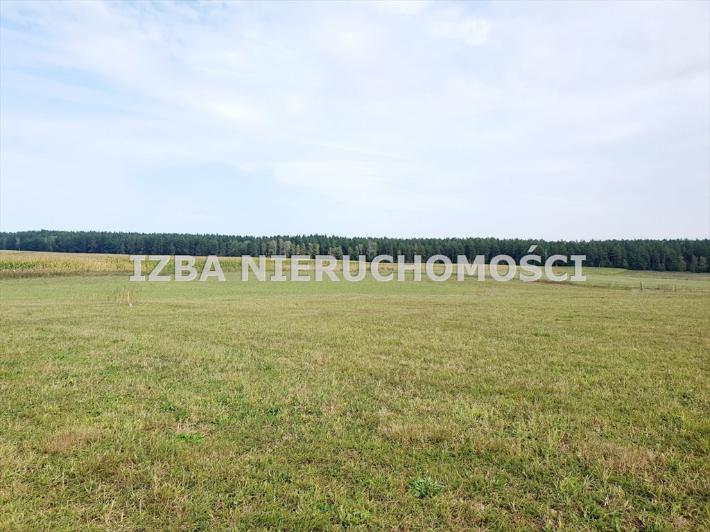 Działka rekreacyjna na sprzedaż Grabnik  3 400m2 Foto 14