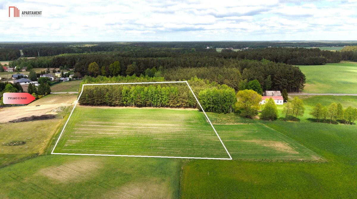 Do sprzedania działka 17 600 m² z lasem i warunkami zabudowy Brzozie  17 600m2 Foto 1