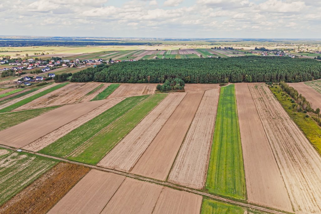 Działka inwestycyjna na sprzedaż Emilianów  11 039m2 Foto 6