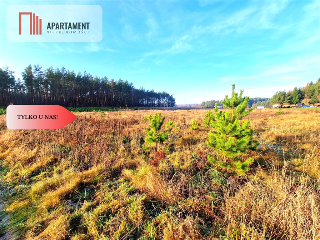 Działka z warunkami zabudowy, 1479 m², Kwieki Kwieki  1 479m2 Foto 1