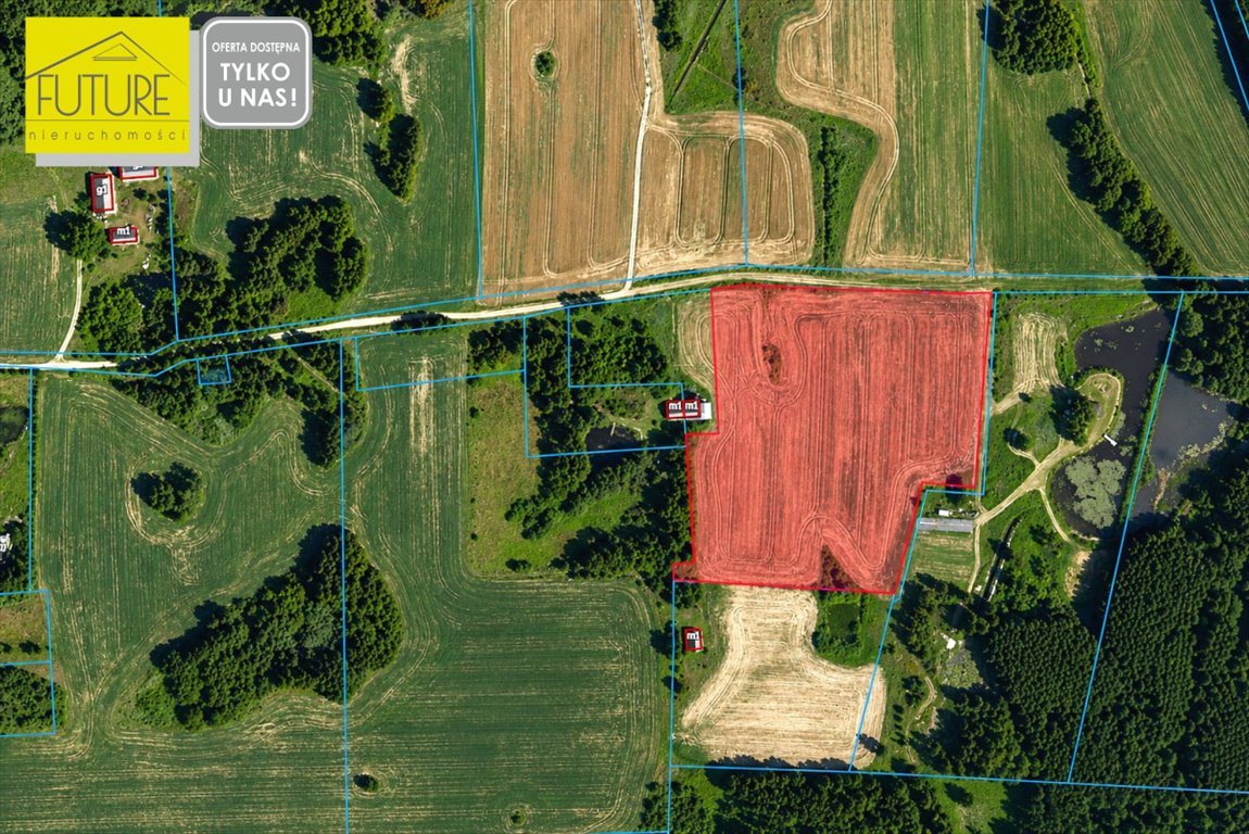 Działka rolna 2,6 ha w Ząbrowcu - zapraszam Ząbrowiec  26 000m2 Foto 1