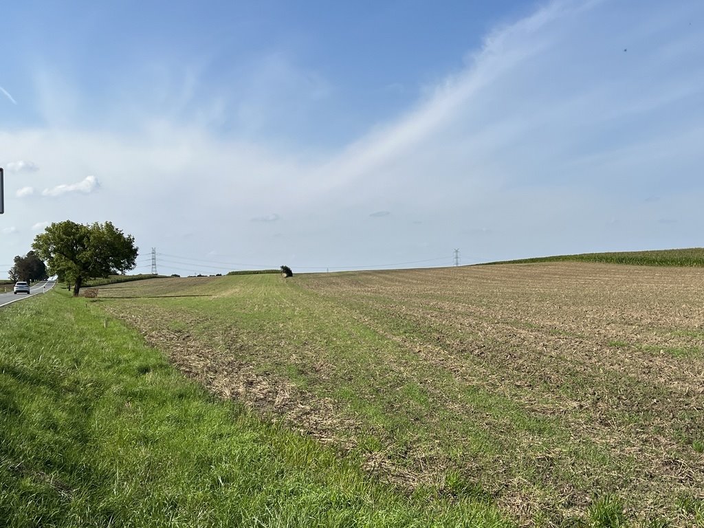 Działka budowlana na sprzedaż Karczów  21 000m2 Foto 1