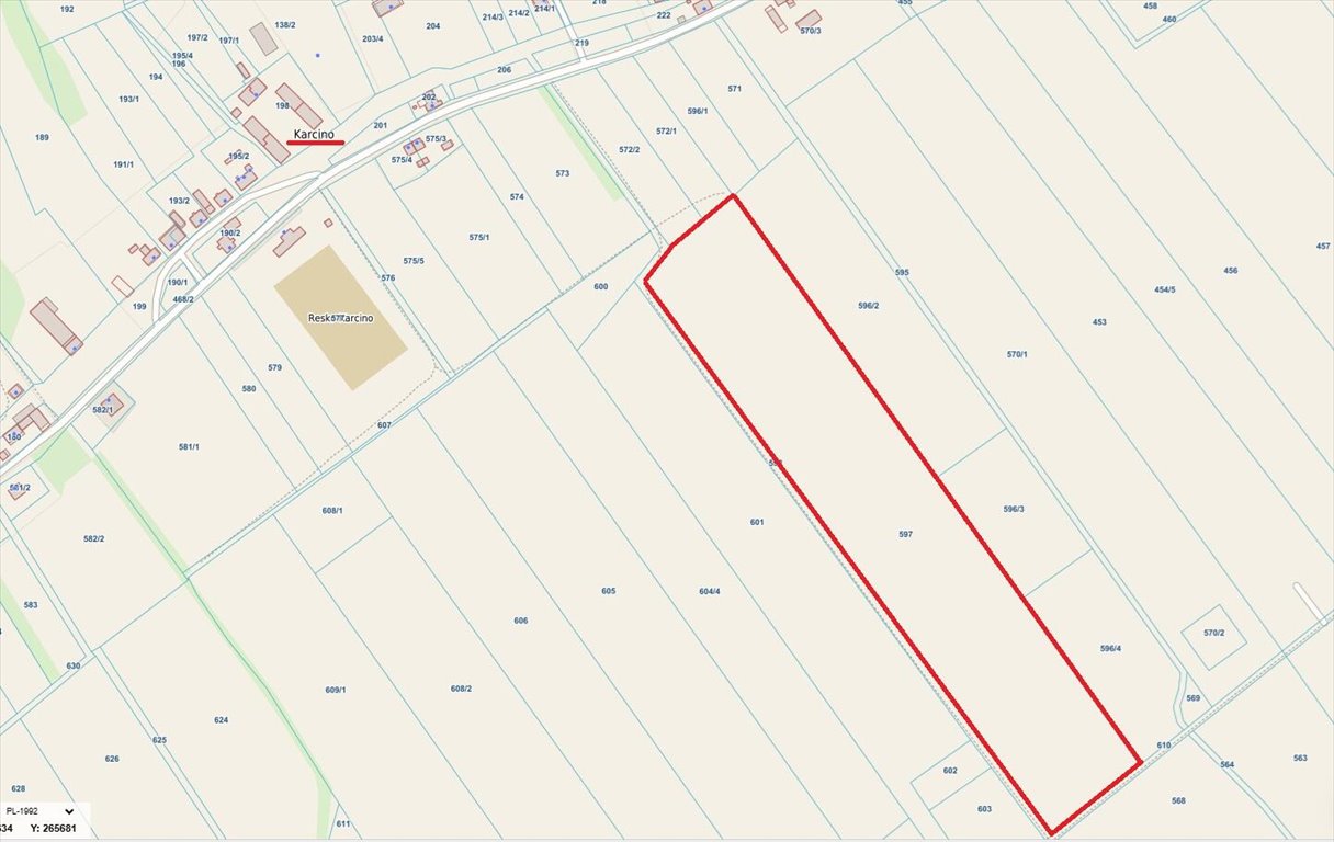 Działka 58 800 m² pod rekreację lub rolnictwo - polecam Karcino  58 800m2 Foto 1