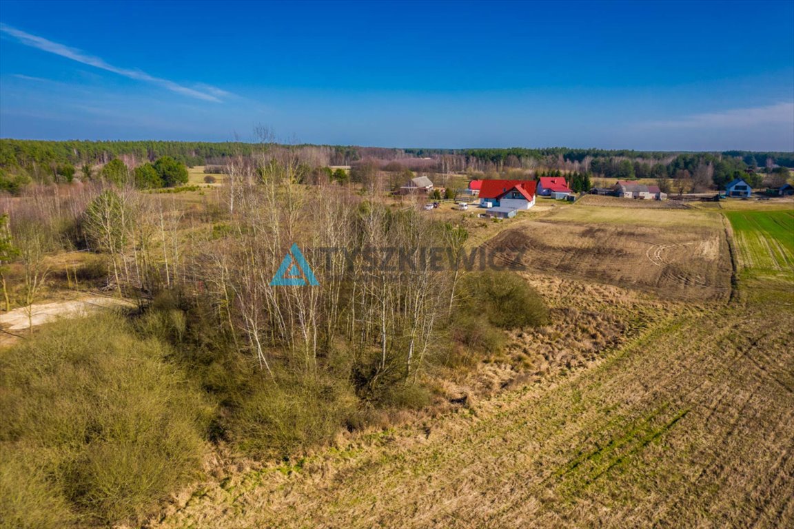 Działka gospodarstwo rolne na sprzedaż Kurcze  6 548m2 Foto 1
