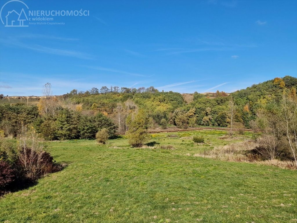 Działka rolna na sprzedaż Dąbrówka Morska  9 500m2 Foto 12