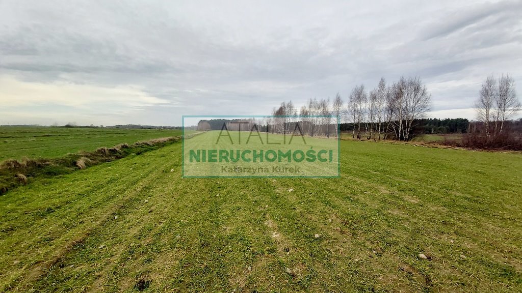 Duża działka 22 084 m² z lasem - media i blisko Warszawy Krze Duże  22 084m2 Foto 1