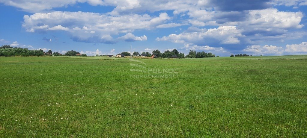 Działka rolna na sprzedaż Dobrzyniewo Kościelne  7 985m2 Foto 3