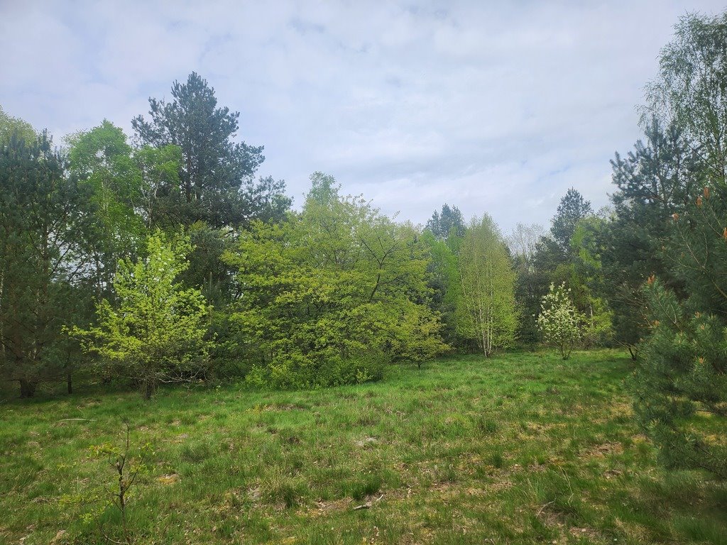 Działka pod dom w Tanowie, 1292 m², cicha okolica Tanowo, Brzozowa  1 292m2 Foto 1