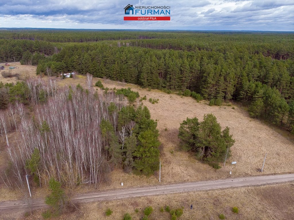 Działka budowlana na sprzedaż Czechyń  1 699m2 Foto 9