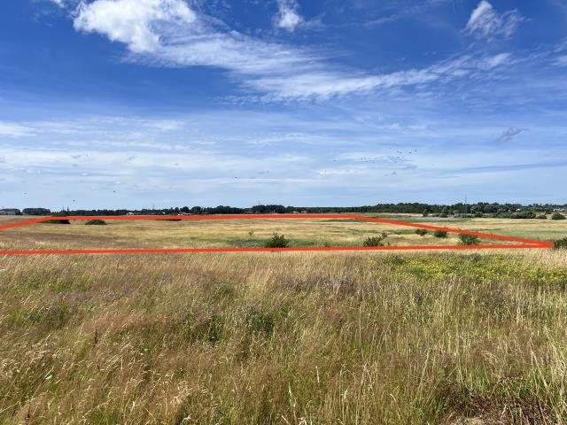 Działka rolna na sprzedaż Zieleniewo, Jantarowa  3 000m2 Foto 7