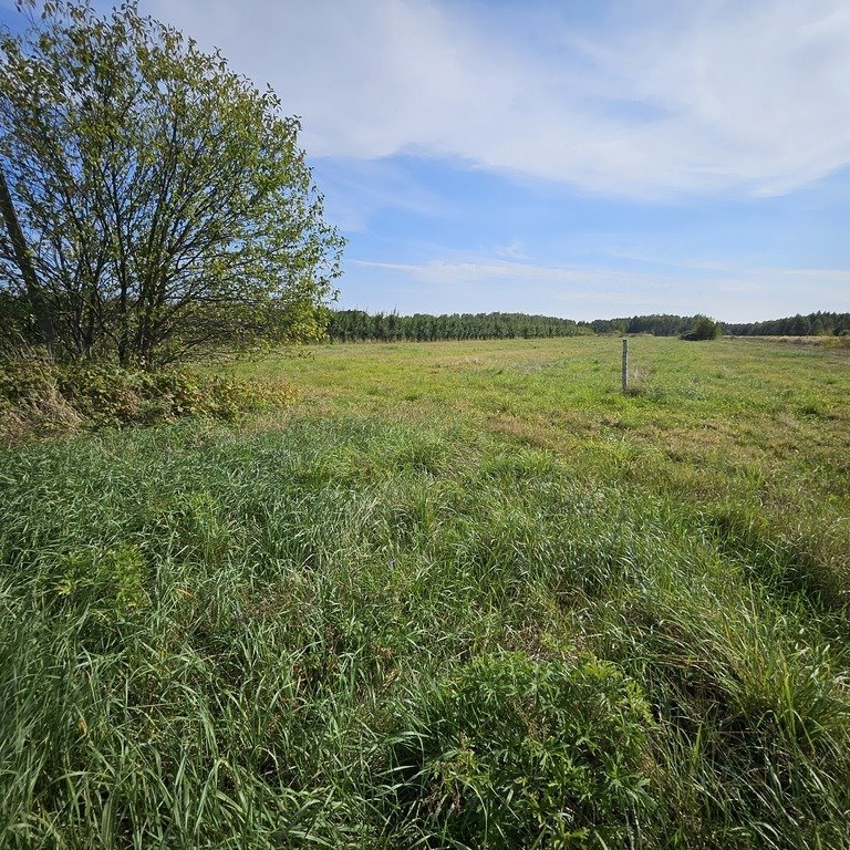 Działka rolna na sprzedaż Prace Małe, Polna  27 892m2 Foto 4