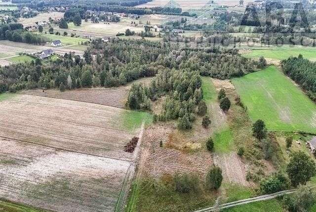 Działka rolna na sprzedaż Brzózki  30 500m2 Foto 6