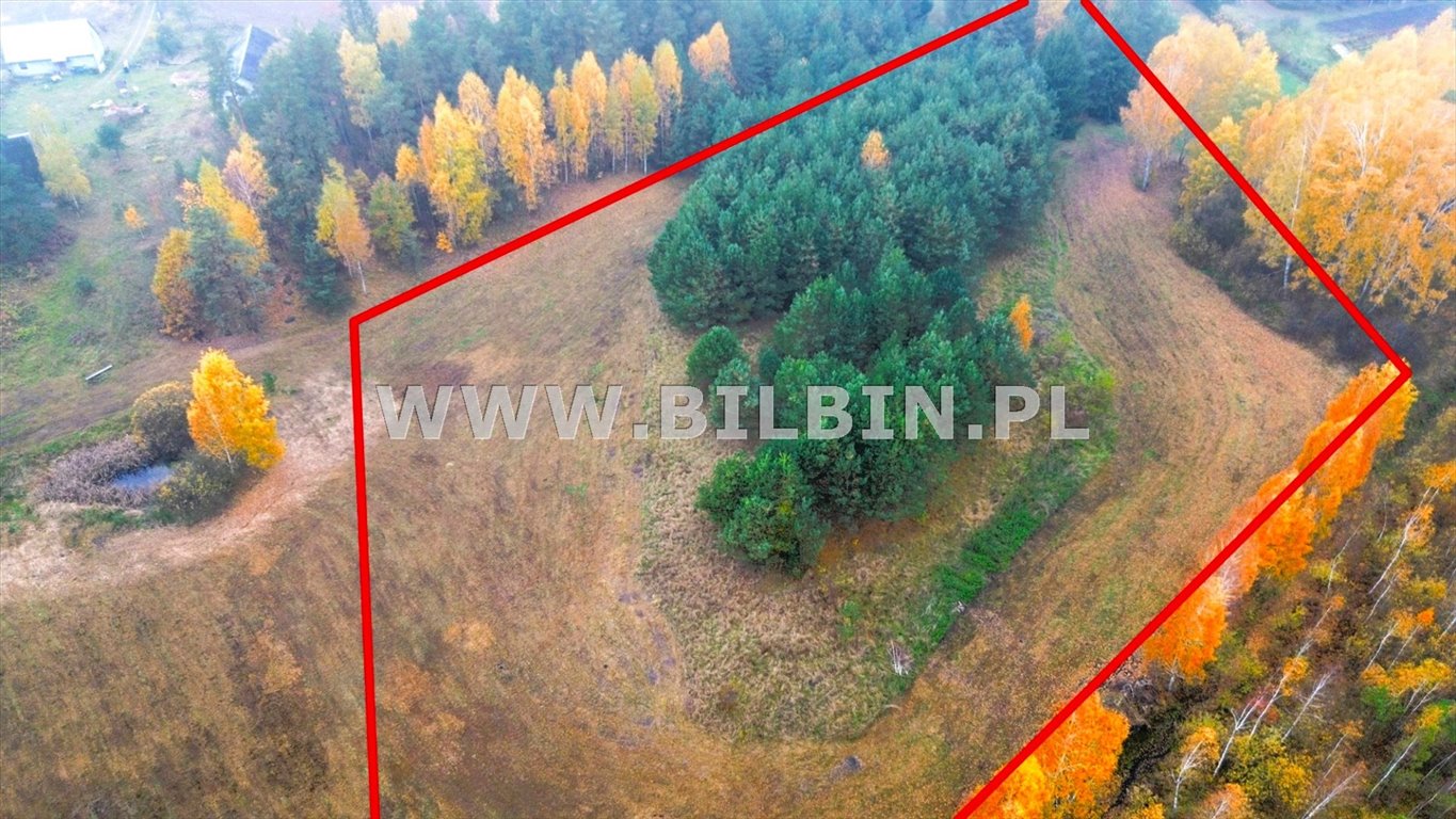 Działka siedliskowa na sprzedaż Berżałowce  12 046m2 Foto 3