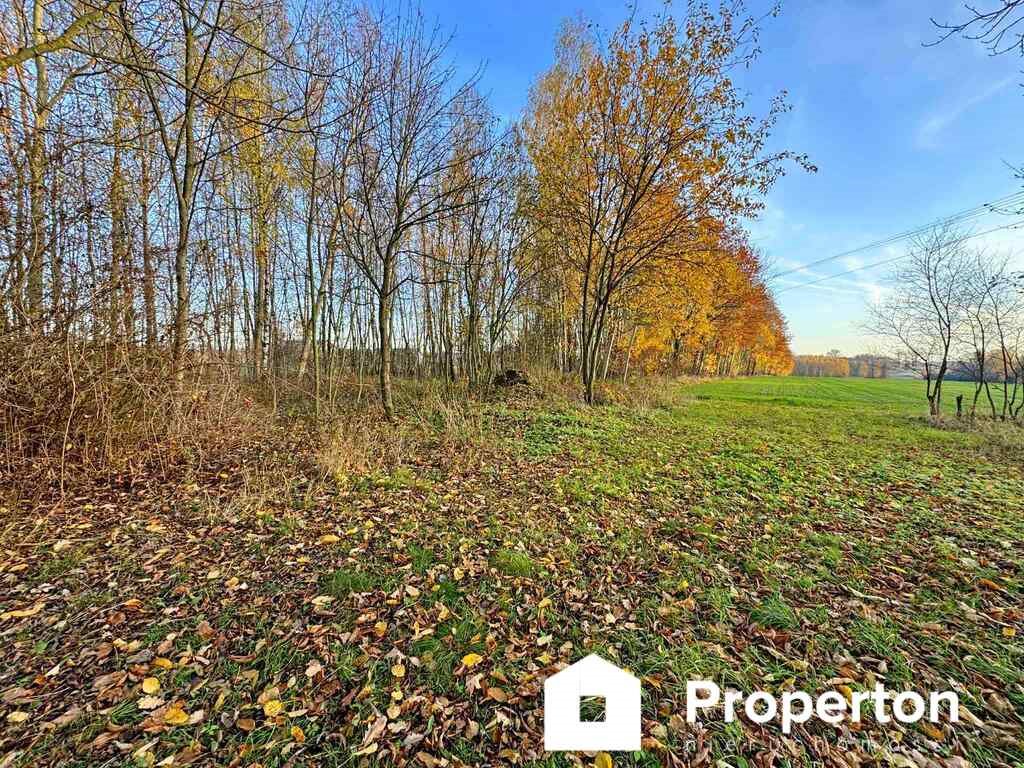 Działka budowlana na sprzedaż Łomnica  24 700m2 Foto 1