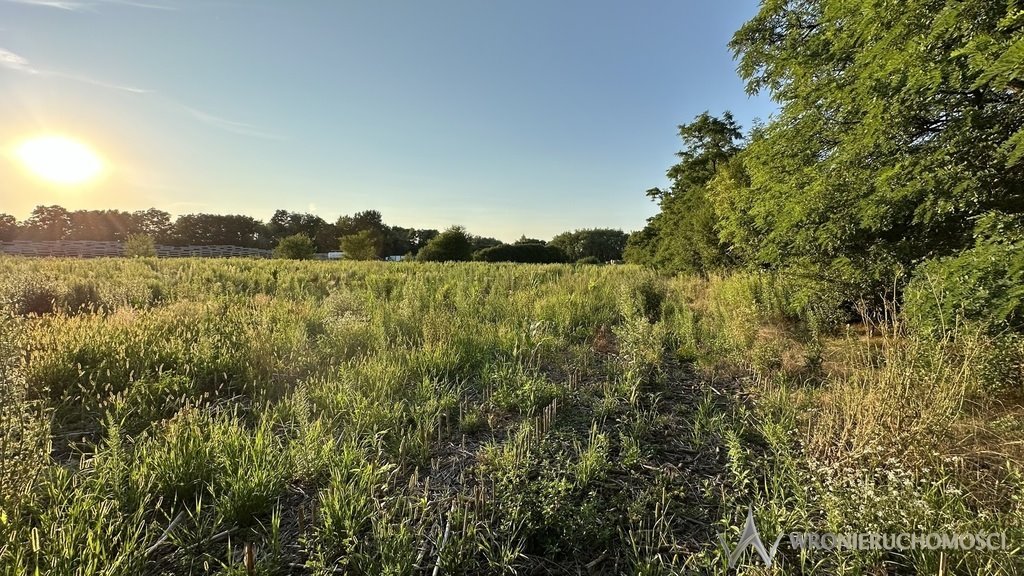 Działka inna na sprzedaż Miłoszyce  12 170m2 Foto 1