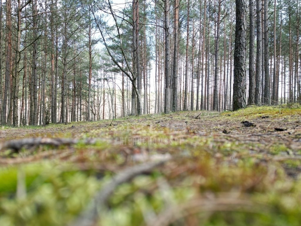 Działka leśna na sprzedaż Krępki  12 611m2 Foto 7