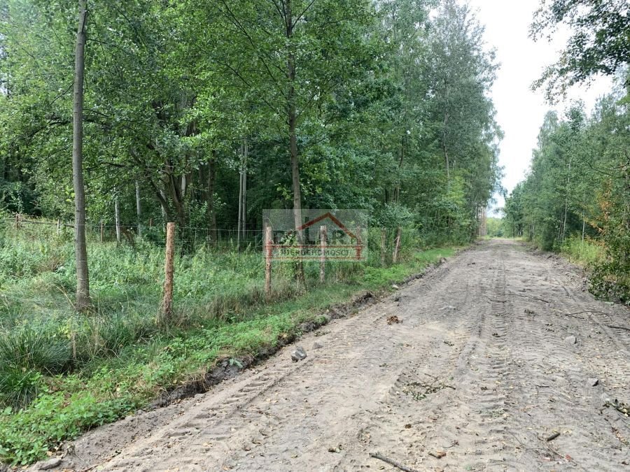 Działka budowlana na sprzedaż Grabina  2 300m2 Foto 3