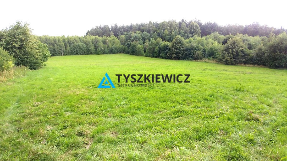 Działka rolna na sprzedaż Bielkówko, Miechucińska  7 300m2 Foto 1