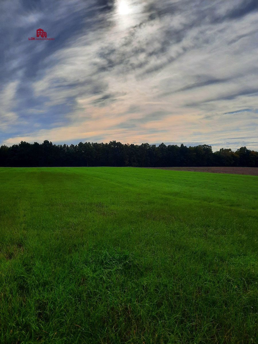 Działka budowlana na sprzedaż Łęczyce  17 800m2 Foto 5