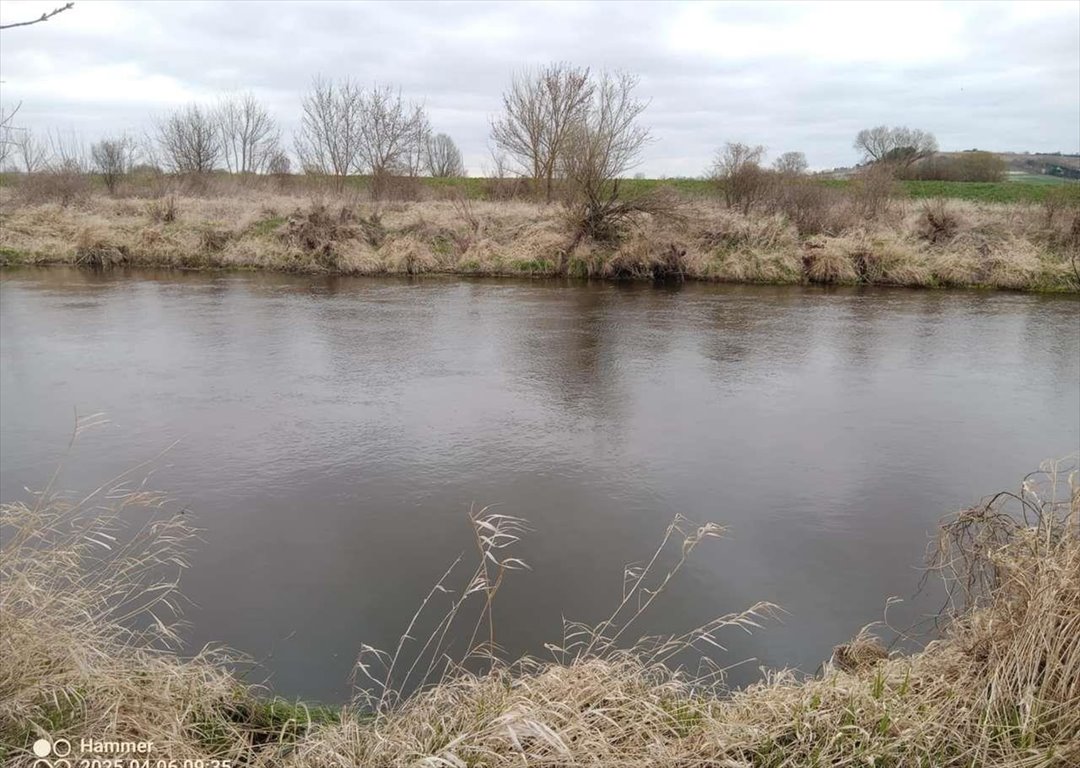 Działka nad Nidą w Sobowicach – idealna dla miłośników natury Sobowice  2 890m2 Foto 1