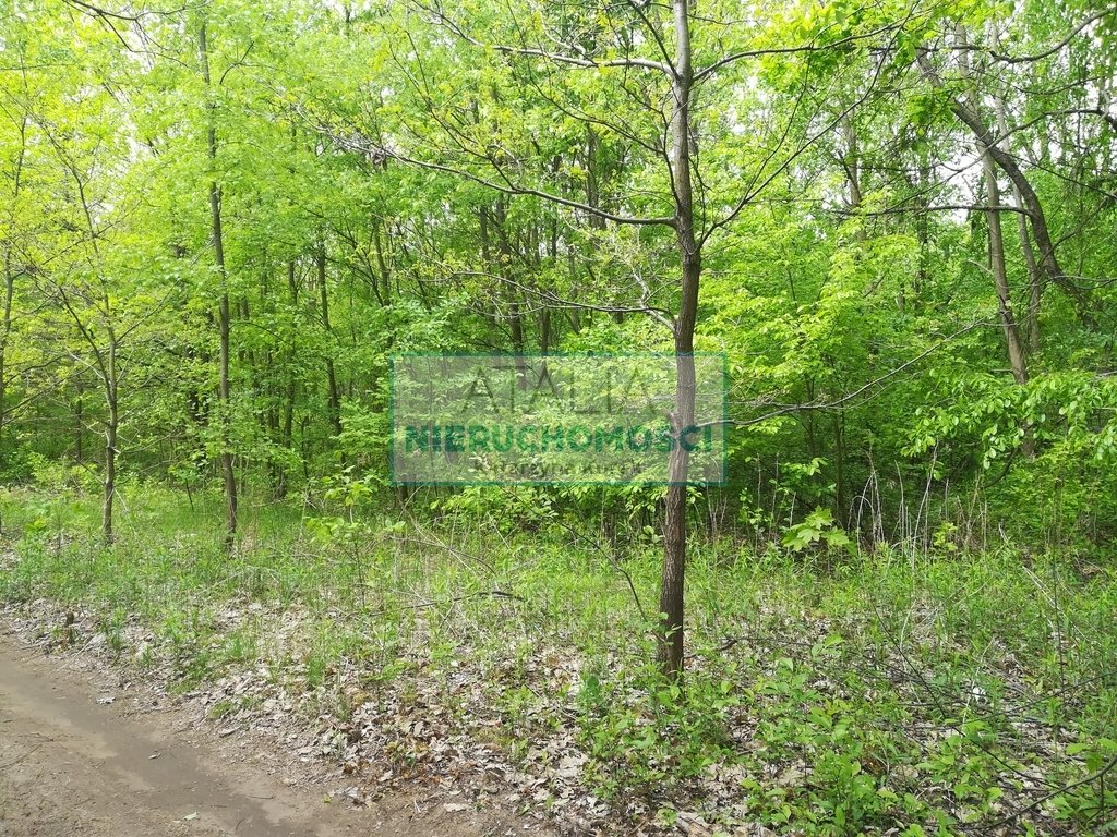 Zapraszam do obejrzenia działki 1958 m² pod inwestycję lub dom Milanówek  1 958m2 Foto 1