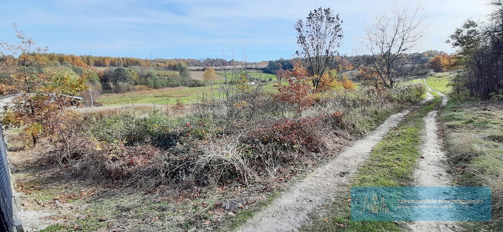 Działka budowlana na sprzedaż Rzeszów, Dębicka  1 554m2 Foto 4