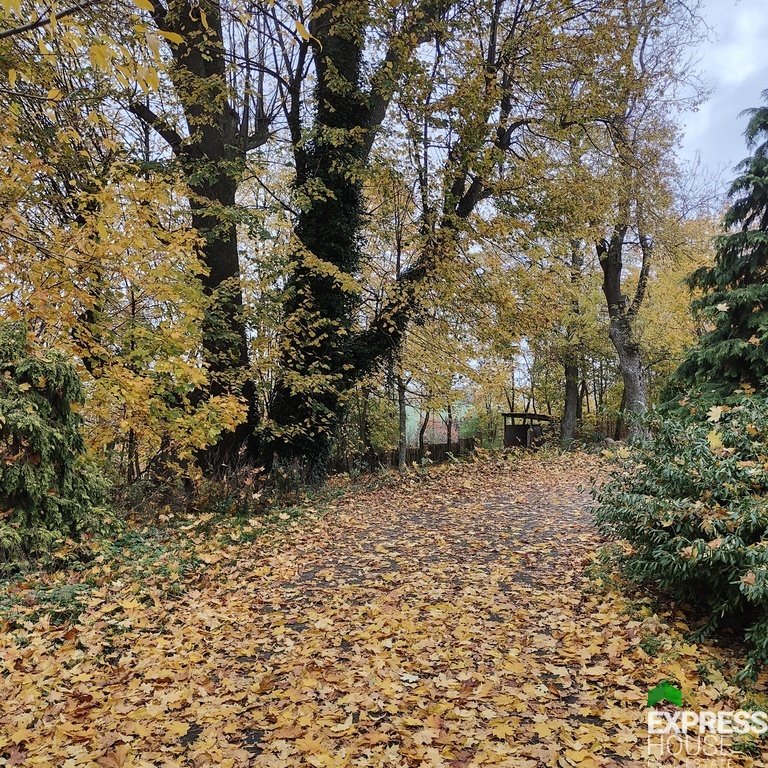 Dom na sprzedaż Górki Małe  460m2 Foto 6