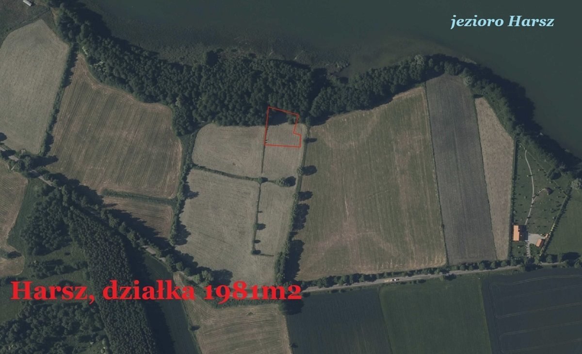 Działka rekreacyjna na sprzedaż Harsz, Harsz  1 981m2 Foto 3