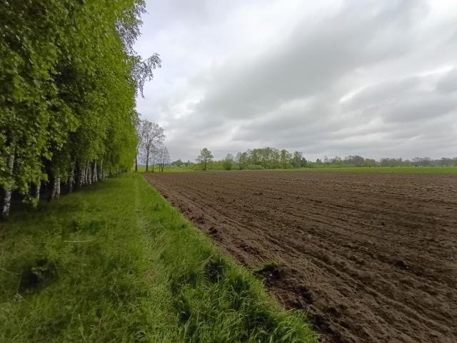 Działka rolna na sprzedaż Smogorzewo Pańskie  58 800m2 Foto 6