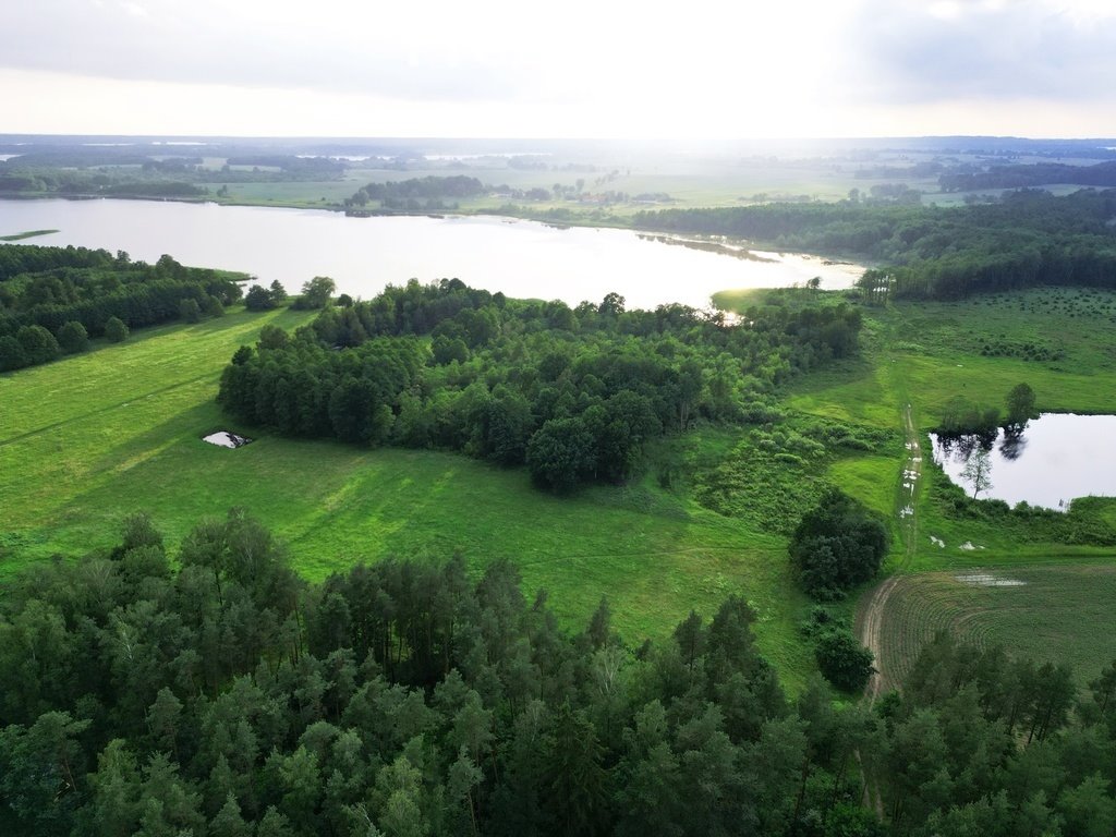 Działka budowlana na sprzedaż Skitławki  5 971m2 Foto 4