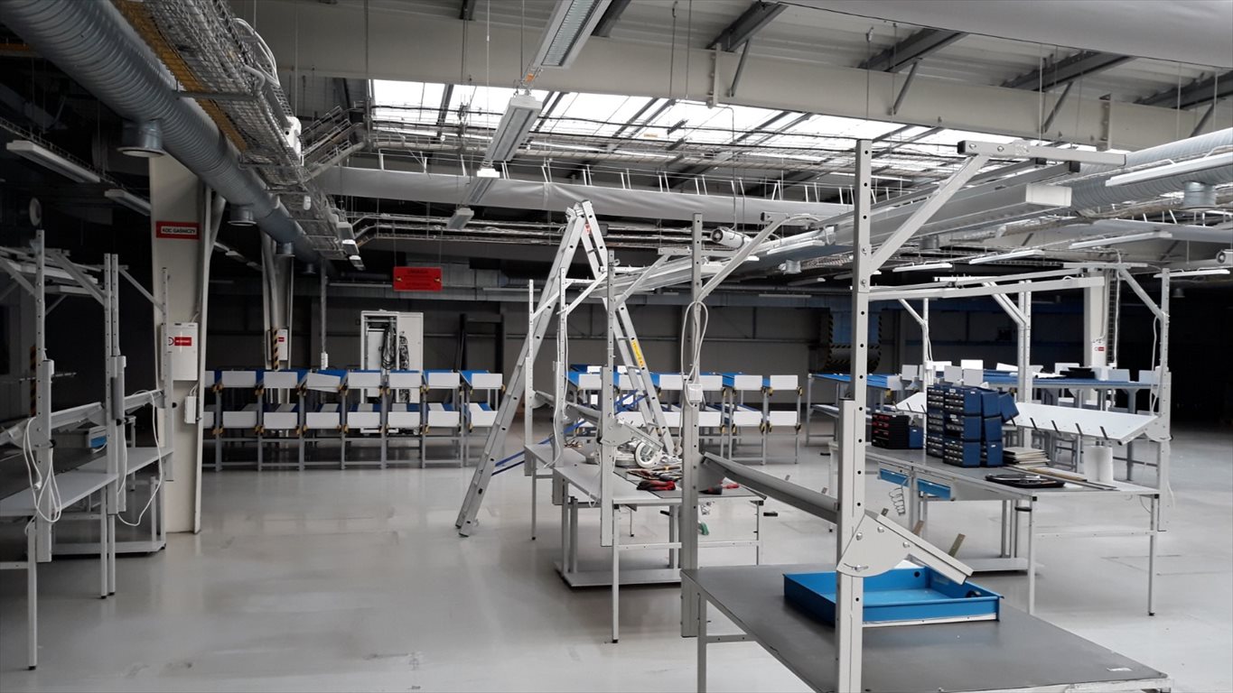 Lokal użytkowy na wynajem Leżajsk 1 800m2 Foto 1 Lokal użytkowy na wynajem Leżajsk 1 800m2 Foto 1