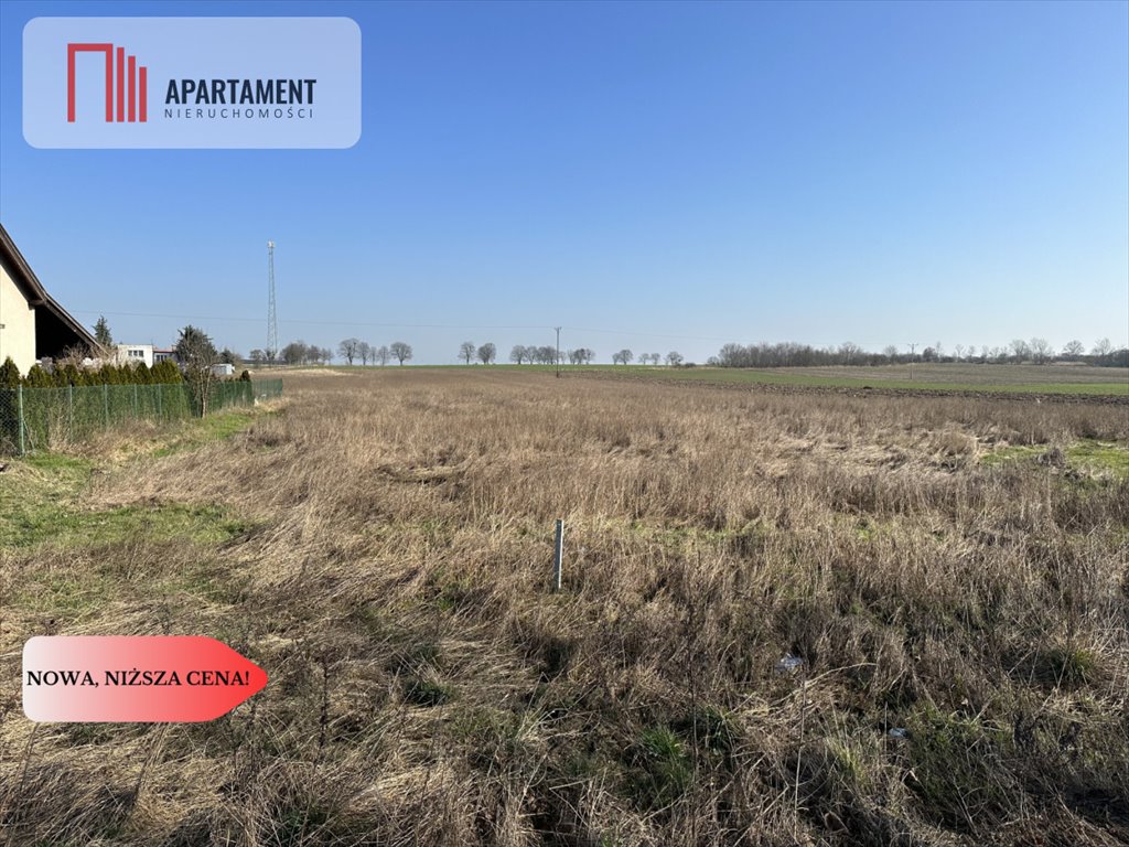 Działka budowlana na sprzedaż Ludomy  1 100m2 Foto 1