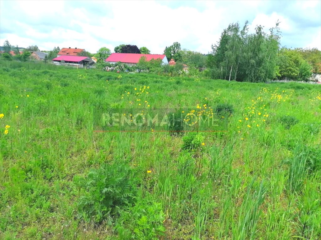 Działka budowlana na sprzedaż Książnica  1 200m2 Foto 6