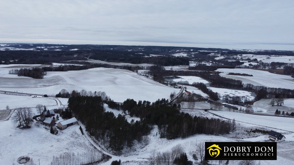 Działka leśna na sprzedaż Sidory  17 400m2 Foto 5