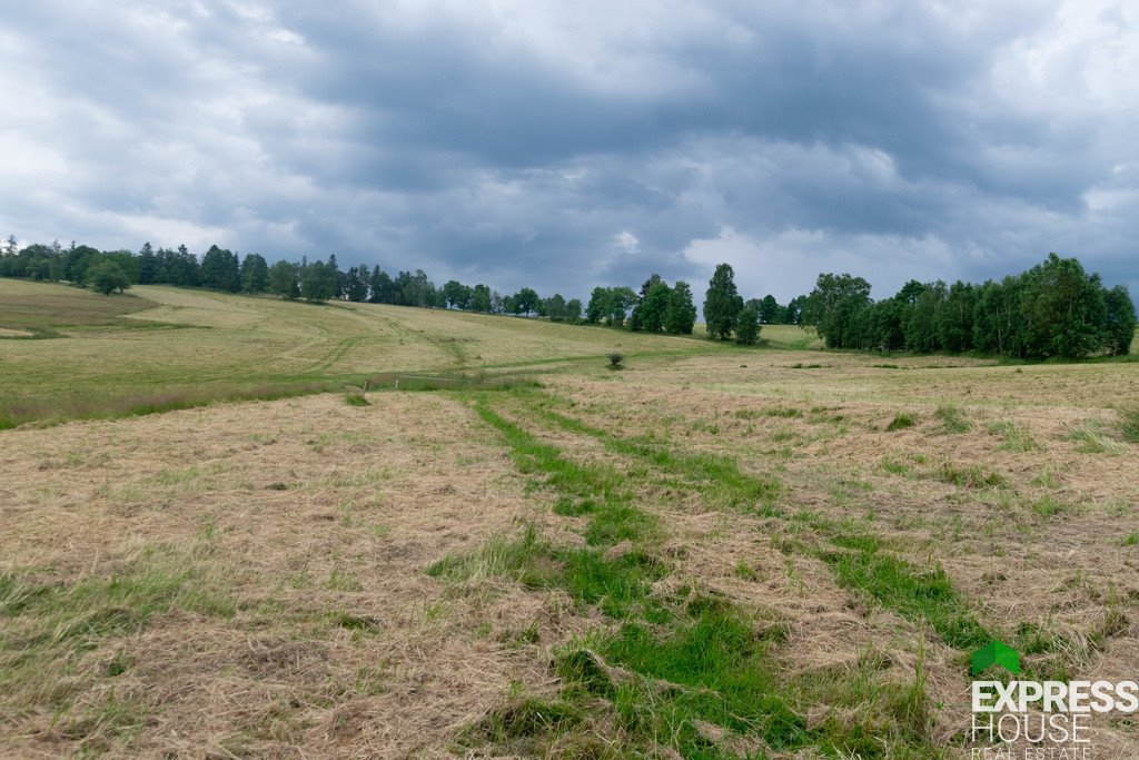 Działka budowlana na sprzedaż Stronie Śląskie, Polna  2 617m2 Foto 3