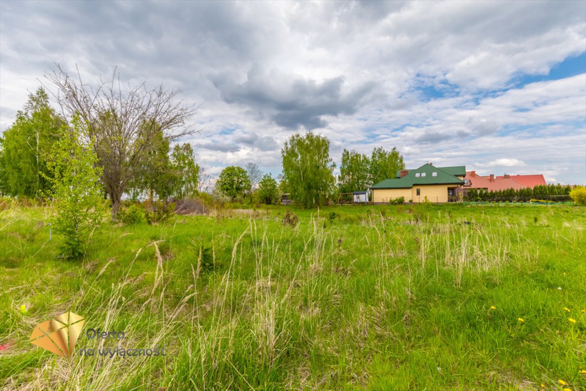 Działka rolna na sprzedaż Kamień  1 420m2 Foto 4