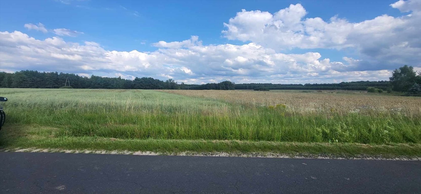 Działka inna na sprzedaż Górki Grabińskie  14 500m2 Foto 1