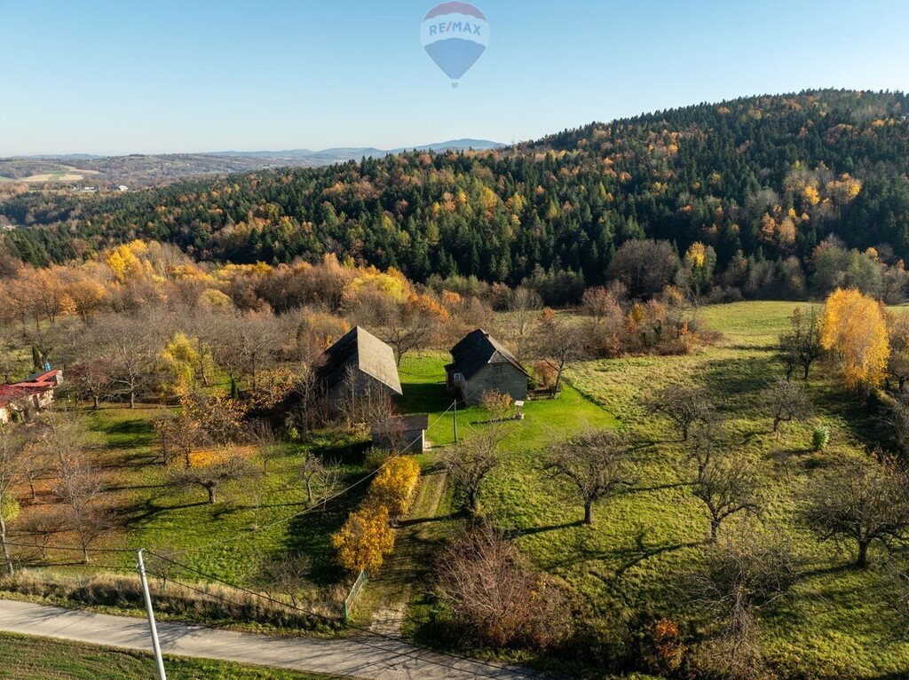 Urokliwe siedlisko 100 m2 z dużą działką i zabudowaniami Krasne-Lasocice  100m2 Foto 1