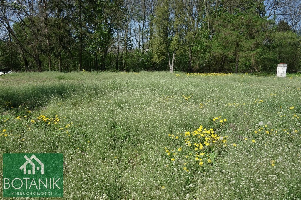 Działka budowlana na sprzedaż Ludwików  1 540m2 Foto 1