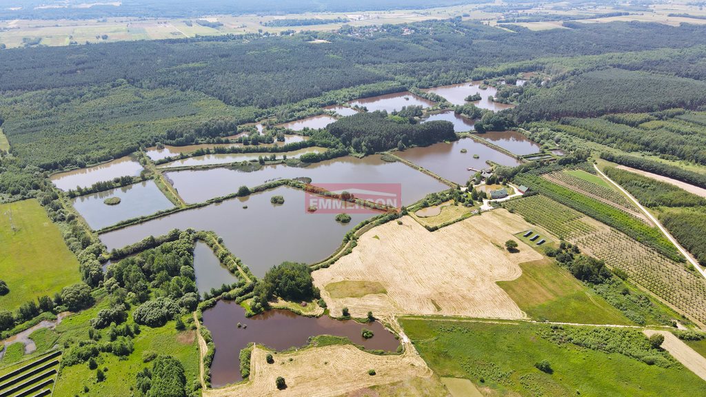 Dom na sprzedaż Bosowice  160m2 Foto 7