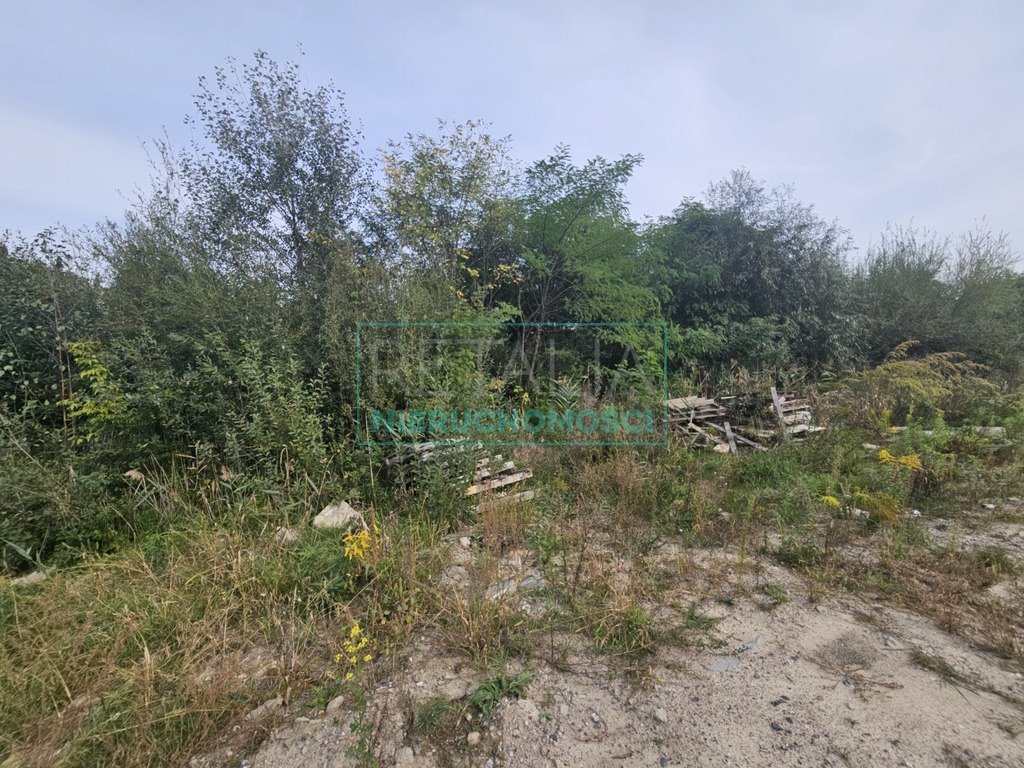 Działka budowlana na sprzedaż Grodzisk Mazowiecki  2 700m2 Foto 10