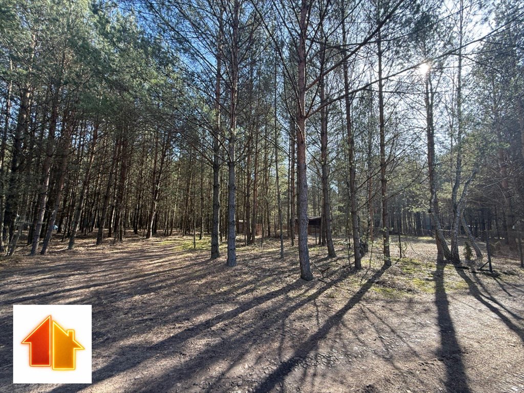 Działka rekreacyjna w Basinowie z dostępem do natury i rekreacji Basinów, Letniskowa  850m2 Foto 1