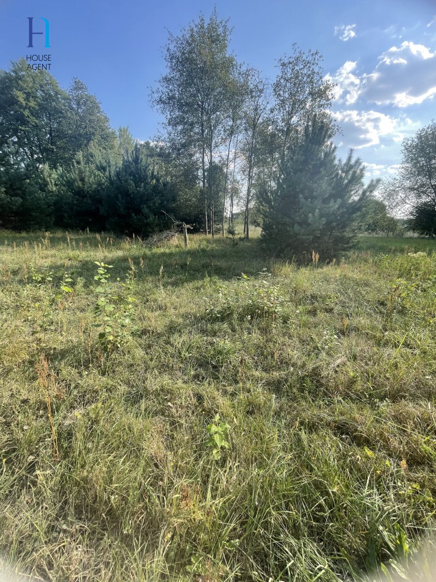 Działka budowlana na sprzedaż Piotrków Trybunalski, Raków  1 056m2 Foto 3